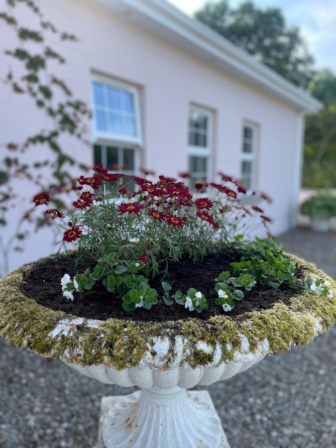 The Cottage At Riverbank Ballinamallard Exterior photo